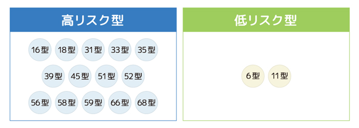 HPVのリスク分類イラスト