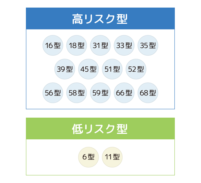 HPVのリスク分類イラスト