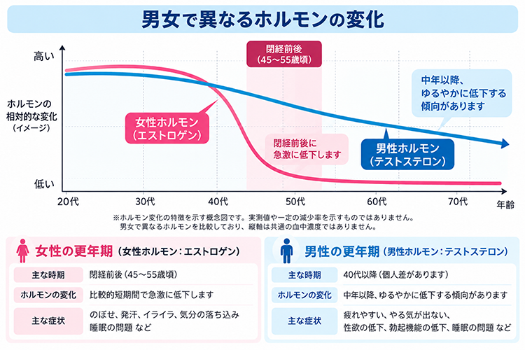 男女で異なるホルモンの変化
